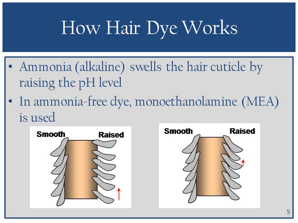 Ammonia vs. MEA Hair Color Mane Street Hair & Color Studio